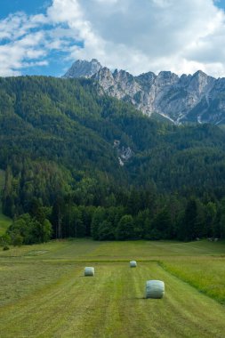 Slovenya 'nın Julian Alps kentinde güneşli bir günde dağların altındaki bir tarlada plastik kaplamalı saman yığınları.