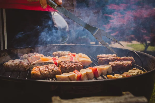 Ассортимент Мяса Cevapcici Колбасы Куриные Кебабы Гриле Древесного Угля Зеленая — стоковое фото