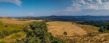 Katalonya, İspanya 'da güneşli, bulutlu ve sarı tarlalı güzel bir yaz manzarasının insansız hava aracı manzarası. Virajlı kırsal yol görünür.