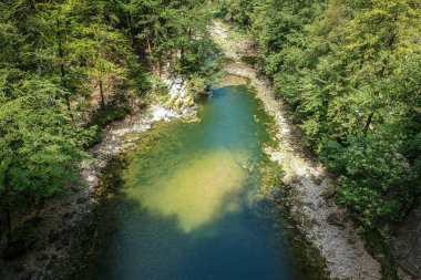 Slovenya 'da Divje Jezero adında küçük yuvarlak bir göl. Etrafı çakıl taşları ve durgun suyla çevrili. Güneşli bir günde mavi gökyüzü, kalın yeşil ormanlar arasında saklanıyor..