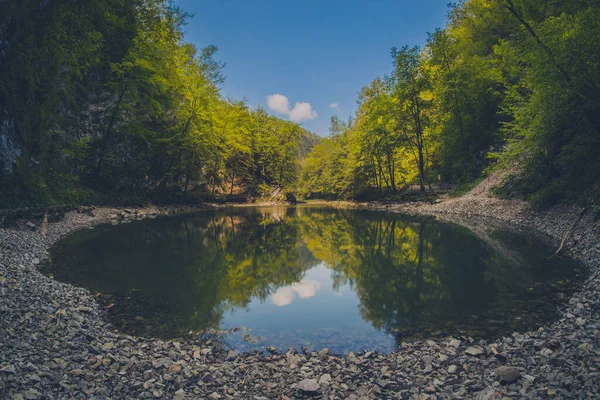 Egy Kerek Kis Neve Divje Jezero Szlovéniában Körülvéve Kavicsokkal Csendes — Stock Fotó