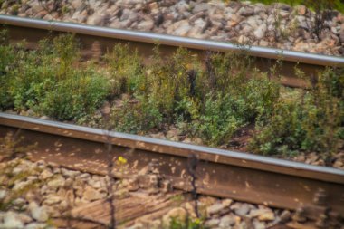 Ana hat tren raylarının durumu kötü. Ağır kalibreli normal tren rayları ahşap yataklı ama altyapının bakımsızlığı nedeniyle çimenler arasında büyüyen çakıllar var. Eski model lensli fotoğraf..