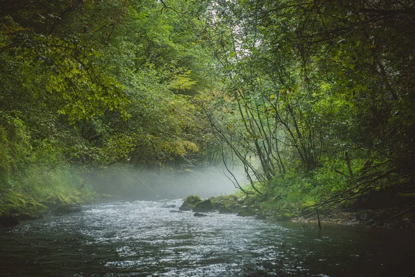 Gyors Folyású Víz Tavasszal Hideg Ködös Környezetben Erdőben Titokzatos Kilátás — Stock Fotó