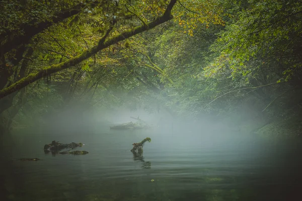 Tranquil Water Fallen Tree Cold Hazy Foggy Afternoon Concept Cold — Stock Photo, Image