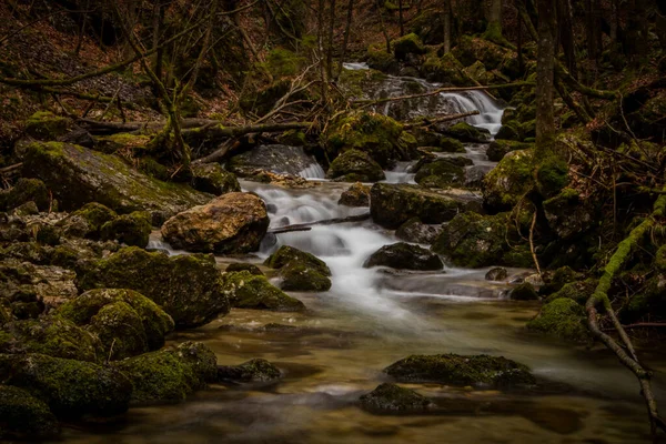 Snabbt Rinnande Vatten Över Små Forsar Vintgar Ravin Nära Borovnica — Stockfoto