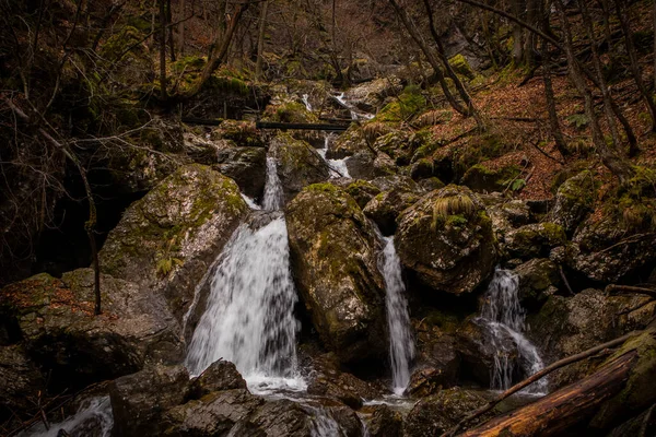 Rápido Fluxo Água Sobre Pequenas Corredeiras Cachoeiras Desfiladeiro Vintgar Perto — Fotografia de Stock