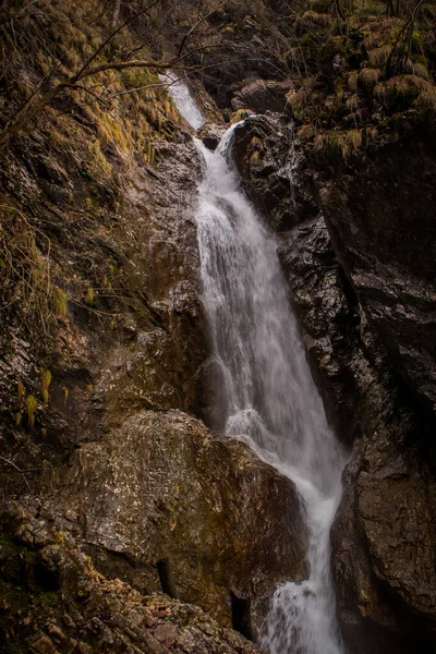 Snel Stromend Water Kleine Stroomversnellingen Watervallen Vintgar Kloof Dicht Bij — Stockfoto