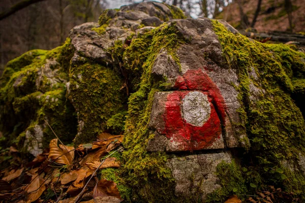 Sentiero Escursionistico Pietra Roccia Ricoperto Muschio Verde Una Giornata Invernale — Foto Stock