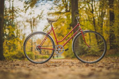 Yapraklar ve diğer yapraklar arasında parktaki bir patikada park edilmiş eski model bisikletin yan fotoğrafı. Açık hava aktiviteleri kavramı ya da romantik bir mevsimde gidip gelme.