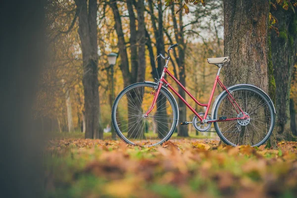 古いヴィンテージの自転車は 葉の木と他の葉の間の公園に駐車しました ロマンチックな季節における屋外活動や通勤の概念 — ストック写真