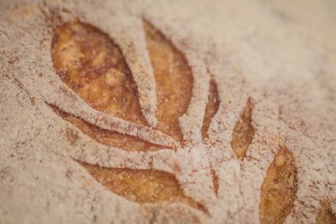 Slovenia 'da geleneksel somun ekmek. Kabuğundaki yaprakların ve buğdayların oyulmuş resimlerinin detaylarıyla. Süslü, şenlikli ekmek..