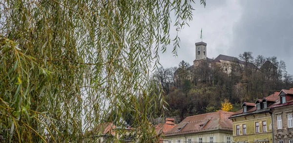 Panorama Ljubljana Slott Tråkig Grå Dag Regndag Ljubljana Med Utsikt — Stockfoto