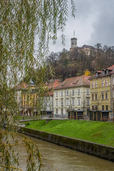Panorama Der Burg Von Ljubljana Einem Trüben Grauen Tag Regentag — Stockfoto