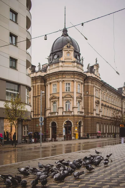 Tauben Füttern Eine Straße Oder Einen Weg Vor Einem Alten — Stockfoto