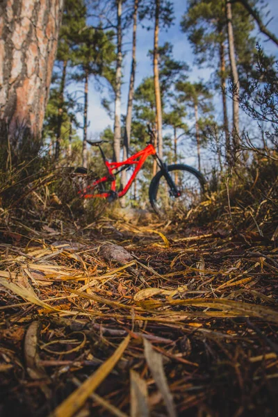 Bicicleta Montaña Enduro Color Rojo Que Descansa Una Sola Pista — Foto de Stock