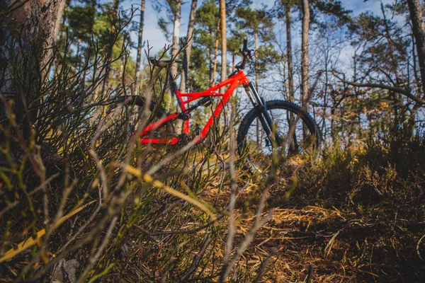 Enduro Mountain Bike Red Color Resting Bike Single Track Forest — стоковое фото