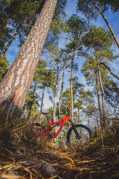 Enduro Mountain Bike Red Color Resting Bike Single Track Forest — стоковое фото