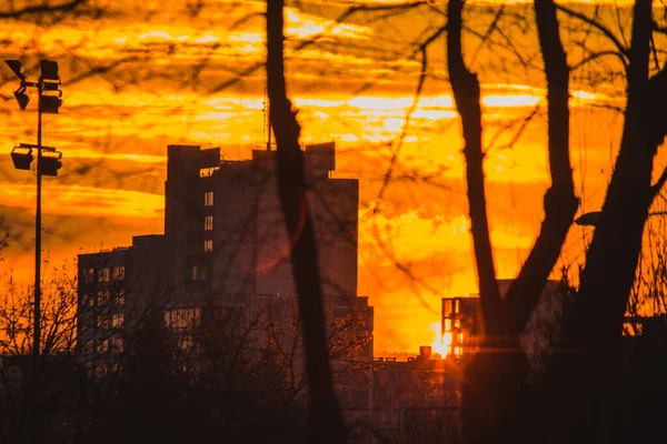 Сонце Піднімається Над Офісними Будівлями Або Міськими Кварталами Сильний Жовтий — стокове фото