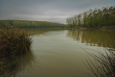 Slovenya 'nın Prekmurje kentinde bulunan Bukovnisko jezero ya da göl kıyısındaki santrallerin hava bulutlu bir ilkbahar gününde görüntülenmesini.