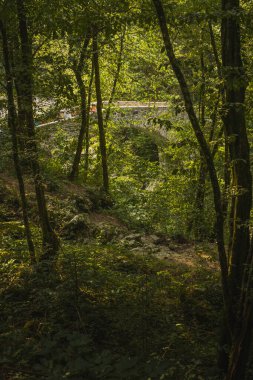 Napolyon 'un Slovenya' nın Kobarid bölgesindeki Nadige nehri üzerindeki köprüsü. Nadige nehri üzerindeki güzel taş köprü ağaçların arkasında saklanıyor.