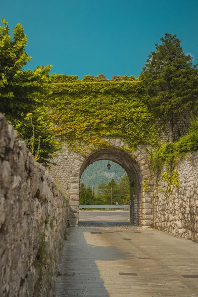 Stone arch made to enter the city through the city walls of medieval town of Venzone in northern Italy. Beautiful arch covered in green foliage