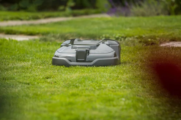 Koyu Yeşil Renkli Bir Robot Çim Biçme Makinesi Düşük Açılı — Stok fotoğraf