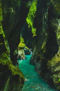 Slovenya 'nın Tolmin kentinde turkuaz bir nehri olan güzel yeşil dar bir vadi..