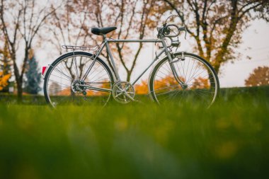 Parktaki yeşil çimlerin üzerinde duran gümüş renkli şehir bisikleti. Açık havada klasik bir bisikletin yan görüntüsü. Çevreye park edilmiş iyi ve ekolojik şehir ulaşımı..