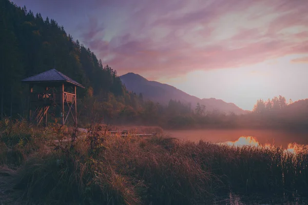 Early Morning Nature Reservate Zelenci Slovenia Spring Sava Dolinka River — Stock Photo, Image