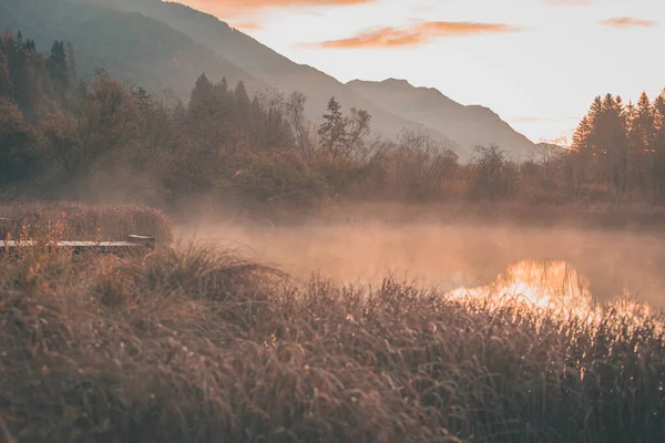 Temprano Mañana Reserva Natural Zelenci Eslovenia Fuente Del Río Sava — Foto de Stock