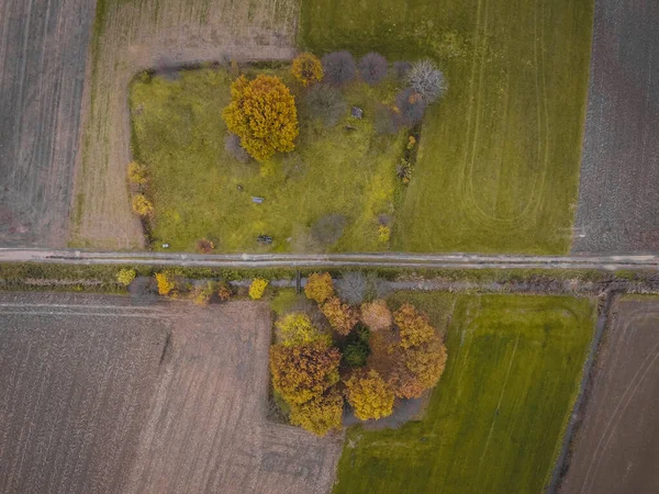 Widok Lotu Ptaka Żwirową Drogę Między Polami Małym Parkiem — Zdjęcie stockowe