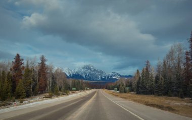 Sonbaharda Jasper 'a giden Kanada otoyolu. Jasper 'ın Kanada ulusal parkından geçen kuru asfalt yolu.