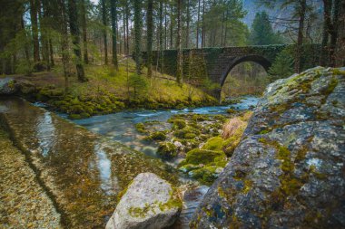 Slovenya 'da Kamniska Bistrica' nın nehir pınarındaki taş köprü, kurak kış zamanında. Ormanın ortasında akan suyla birlikte soğuk ve büyülü bir köprü..
