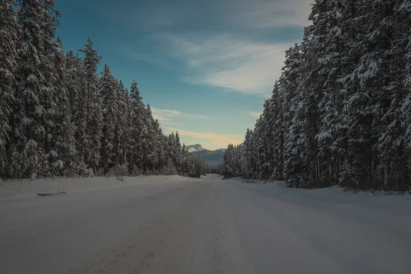 Road Trip Travers Les Montagnes Canadiennes Profitez Vue Sur Route — Photo