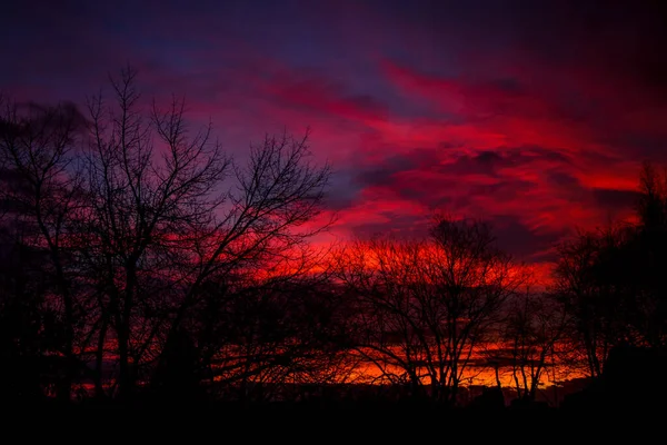 Tôt Matin Hiver Riche Rouge Bleu Violet Regardant Travers Les — Photo