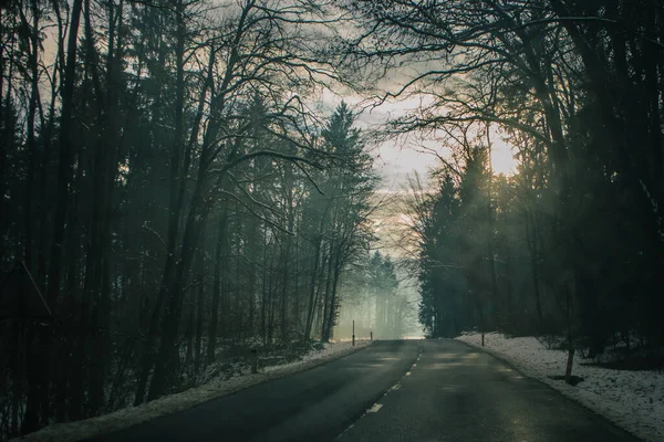 Χειμερινός Ασφαλτοστρωμένος Δρόμος Μέσα Στο Δάσος Επικίνδυνο Φως Κεφαλής Και — Φωτογραφία Αρχείου