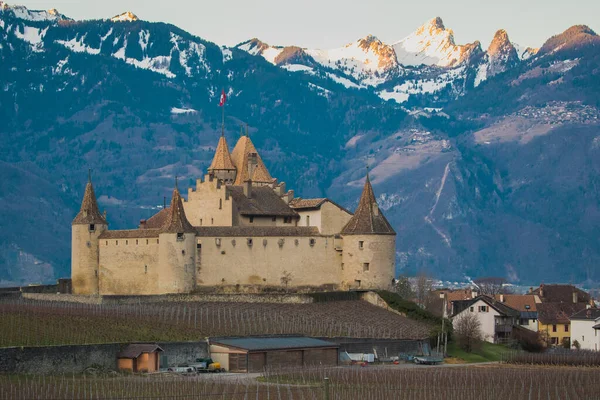 Hermoso Panorama Ciudad Aigle Suiza Con Castillo Visible Viñedos Hermoso — Foto de Stock