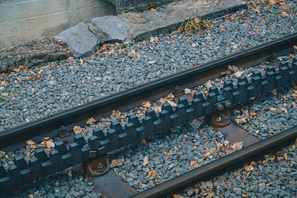 Vista Dettagliata Della Ferrovia Dentata Dentaria Nel Sistema Ferroviario Montagna — Foto Stock