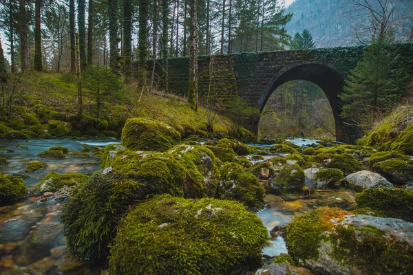 Ponte Pietra Alla Sorgente Del Fiume Kamniska Bistrica Slovenia Inverno — Foto Stock