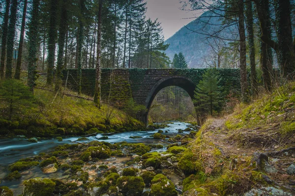 Ponte Pietra Alla Sorgente Del Fiume Kamniska Bistrica Slovenia Inverno — Foto Stock