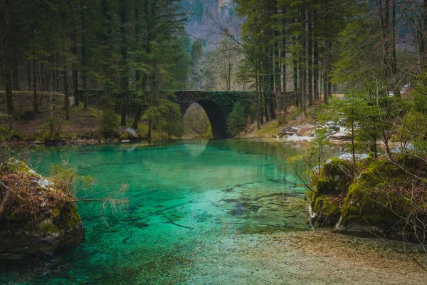 Stone bridge at the river spring of Kamniska Bistrica in Slovenia in dry winter time. Cold enchanted bridge with flowing water underneath in the middle of the forest.