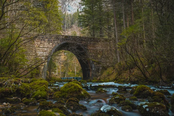 Stenen Brug Bij Rivierbron Van Kamniska Bistrica Slovenië Droge Wintertijd — Stockfoto