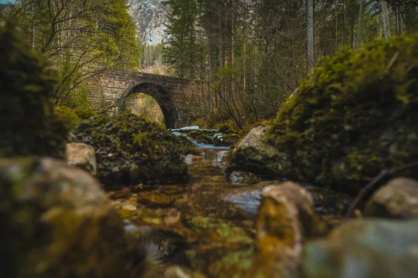 Stenbro Vid Floden Våren Kamniska Bistrica Slovenien Torr Vintertid Kallförtrollad — Stockfoto
