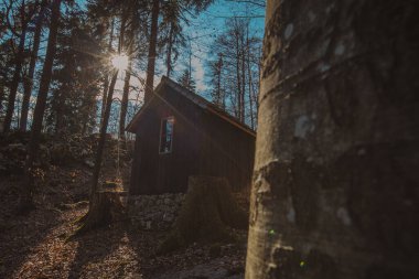 Old army barracks or cottages hiding in the depths of forest at Kocevje or Kocevski rog. Partisan hideout in Slovenia called Baza 20 on a sunny winter day. Visible one of cabins. clipart