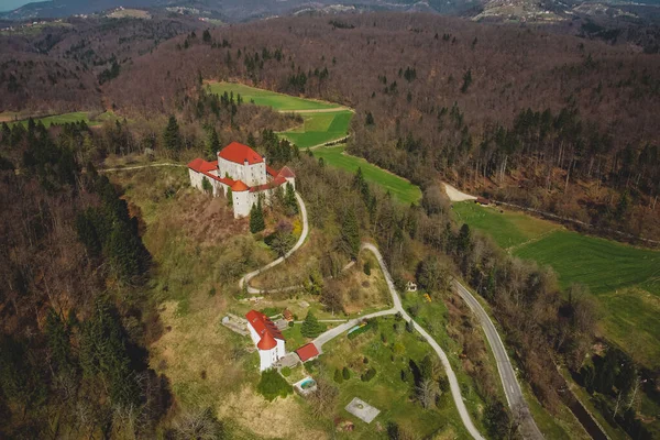 Luftbild Der Burg Mirna Der Region Dolenjska Slowenien Erhebt Sich — Stockfoto