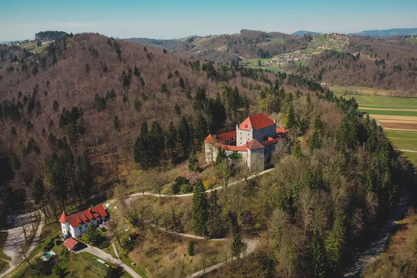 Foto Aérea Castelo Mirna Região Dolenjska Eslovênia Está Subindo Das — Fotografia de Stock