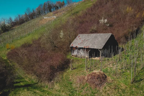 Einsames Ferienhaus Das Sich Einem Sonnigen Tag Zwischen Weinfeldern Der — Stockfoto