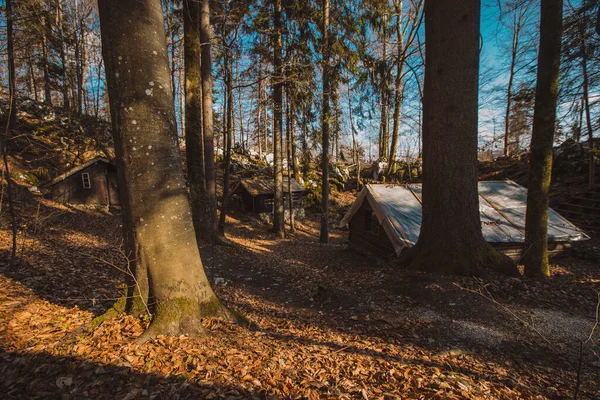 Gamla Armékaserner Eller Stugor Som Gömmer Sig Skogens Djup Vid — Stockfoto