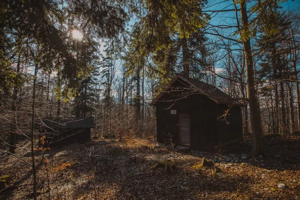 Παλιοί Στρατώνες Αγροικίες Κρύβονται Στα Βάθη Του Δάσους Στο Κοτσέβιε — Φωτογραφία Αρχείου