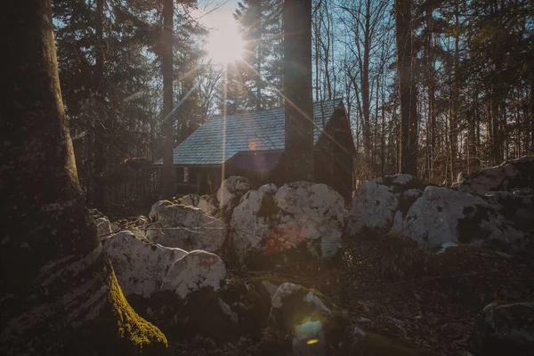 병영이나 집들은 코체베이나 슬로베니아의 신처는 겨울날에 이라고 불렸다 보이는 통나무집 — 스톡 사진